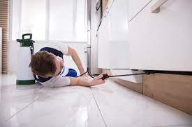 Pest Control Service
